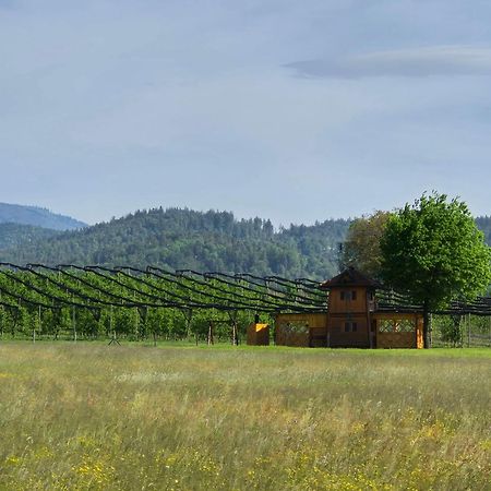 Unique Wooden Holiday House In Nature Lukovica pri Domžalah エクステリア 写真