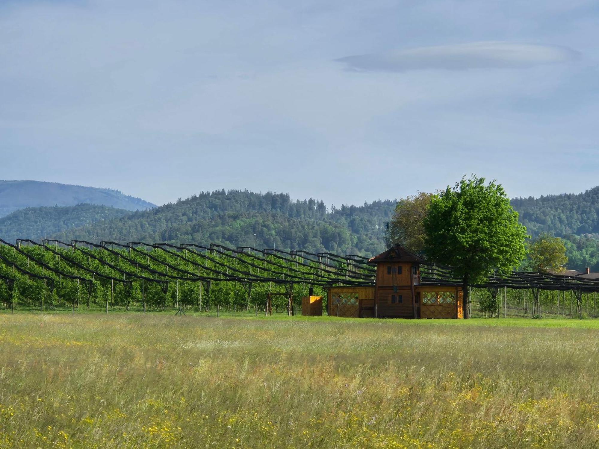 Unique Wooden Holiday House In Nature Lukovica pri Domžalah エクステリア 写真