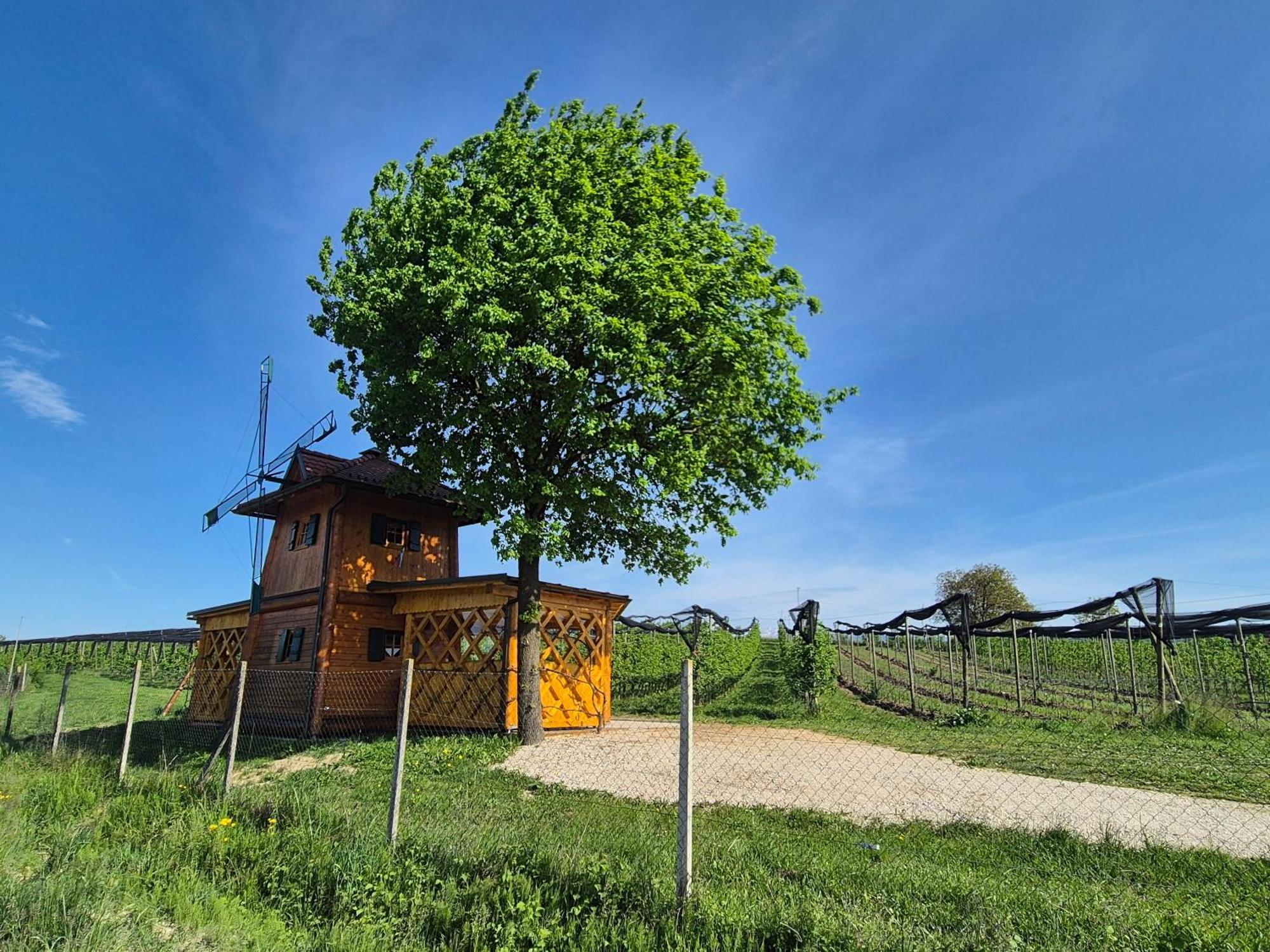Unique Wooden Holiday House In Nature Lukovica pri Domžalah エクステリア 写真